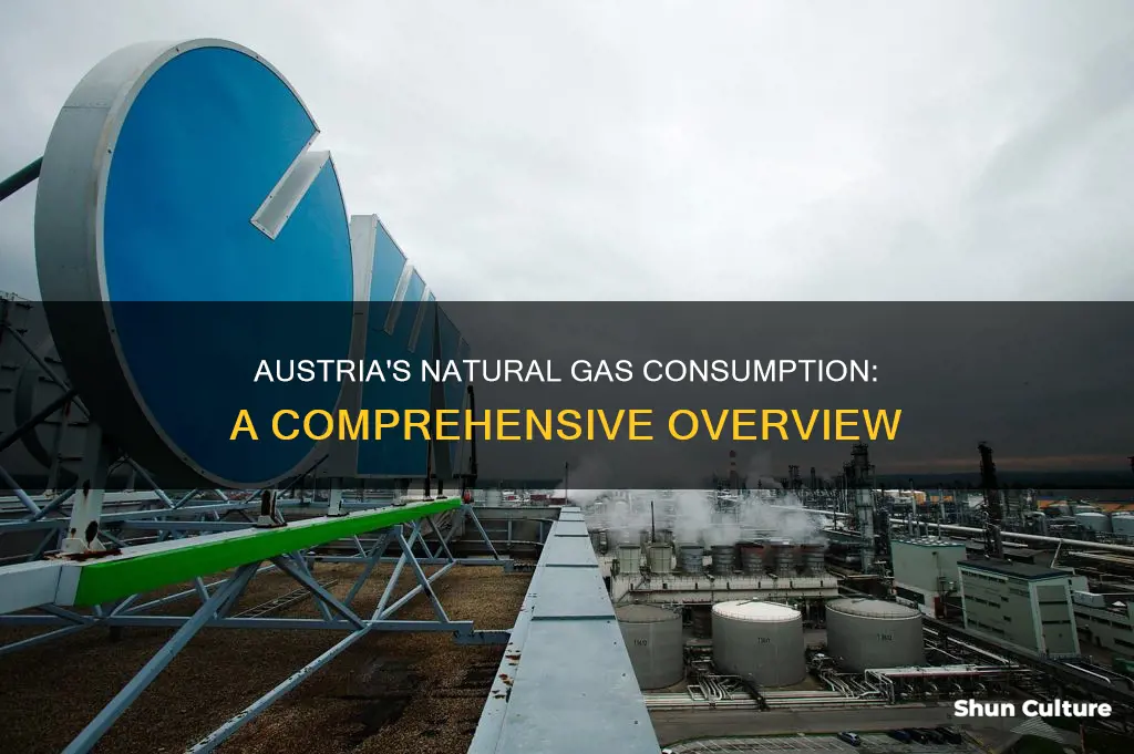 how much natural gas does austria use