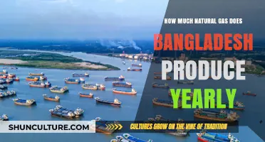 Bangladesh's Annual Natural Gas Production: Insights and Figures