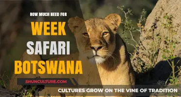 Budgeting for a Week-Long Botswana Safari: Essential Costs and Tips