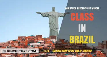 Brazil's Middle-Class Threshold: Income Requirements and Lifestyle Insights