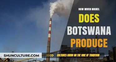 Botswana's Nickel Production: Output, Impact, and Global Market Insights