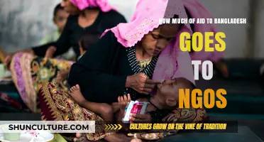 Unveiling Bangladesh's Aid Flow: NGO Funding and Transparency Explored