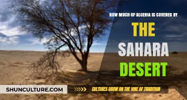 Algeria's Sahara: Exploring the Desert's Vast Coverage and Impact