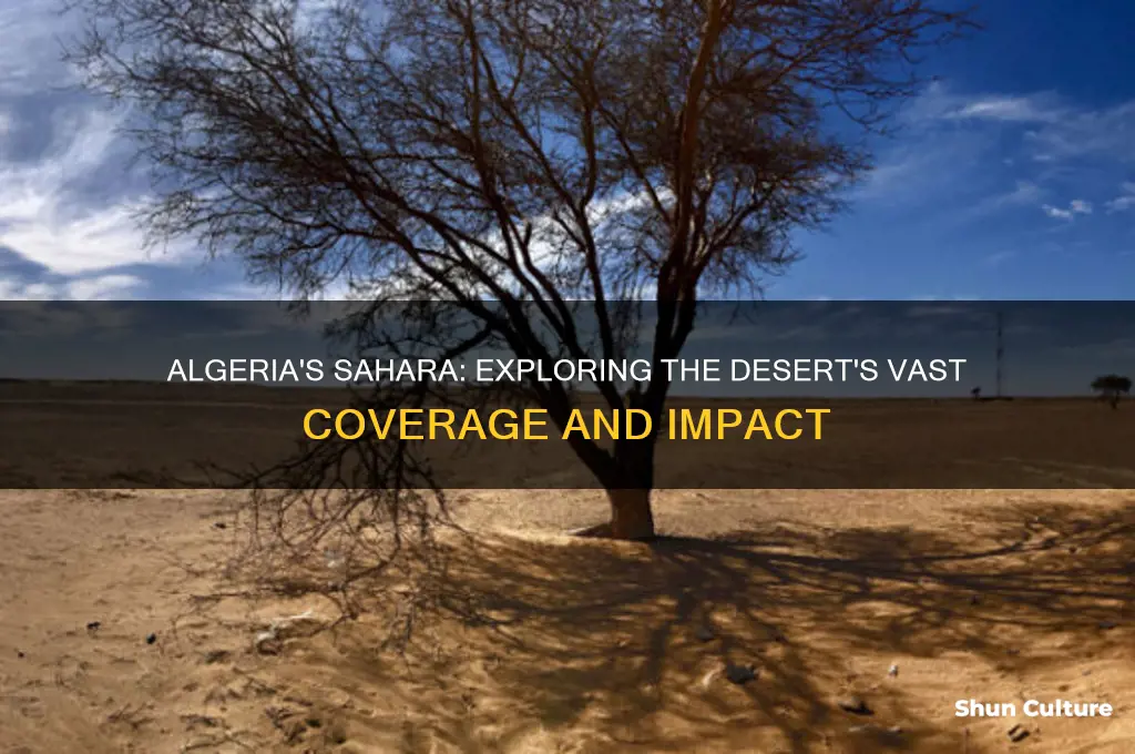 how much of algeria is covered by the sahara desert