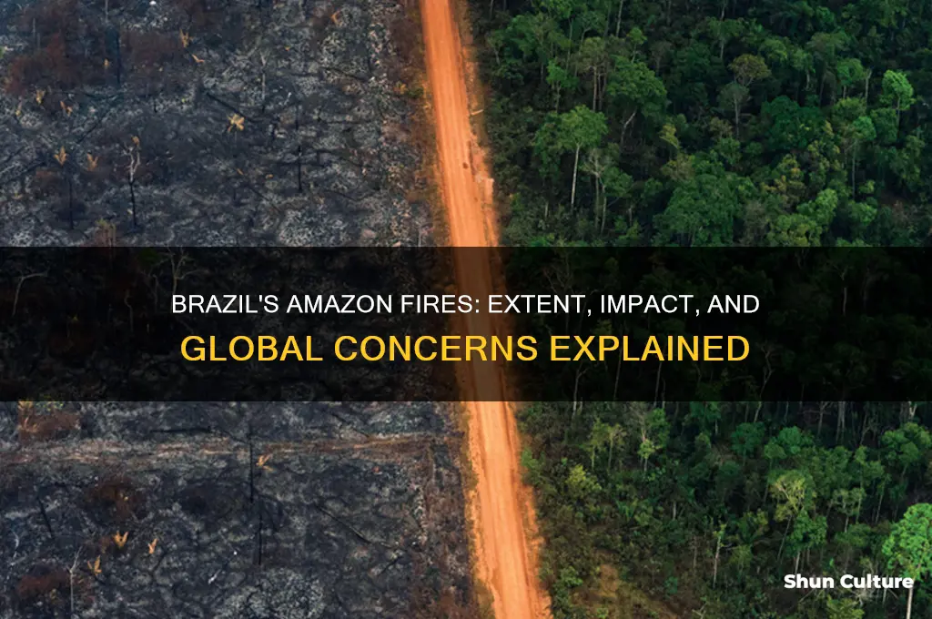 how much of amazon on fire is in brazil
