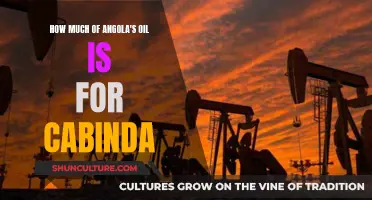 Cabinda's Oil Wealth: Angola's Energy Future?