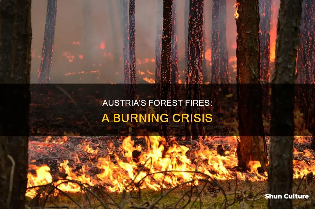 how much of austria is on fire