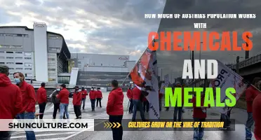 Chemical and Metal Workers: Austria's Hidden Workforce