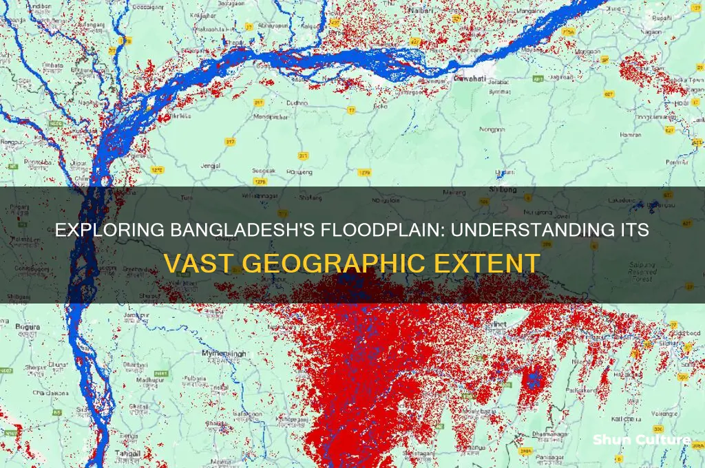 how much of bangladesh is a floodplain