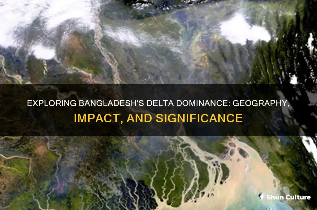 how much of bangladesh is delta