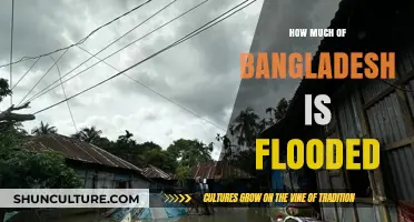 Bangladesh's Flooded Lands: Understanding the Extent and Impact