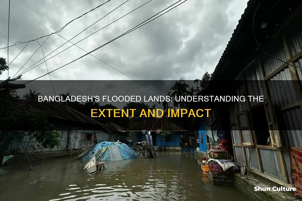 how much of bangladesh is flooded