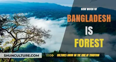 Exploring Bangladesh's Forest Cover: A Comprehensive Analysis and Insights