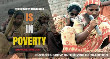 Understanding Bangladesh's Poverty Rates: Causes, Challenges, and Potential Solutions