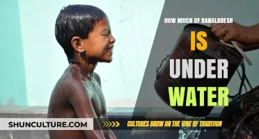 Bangladesh's Submerged Lands: Exploring the Extent of Water Coverage