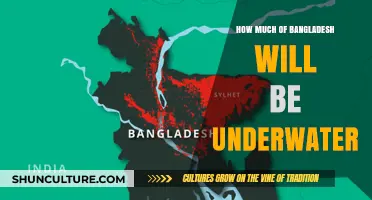Bangladesh's Sinking Future: Rising Seas Threaten Coastal Regions