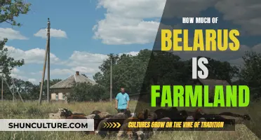 Belarus' Agricultural Abundance: Farmland Across the Country