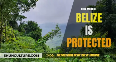 Belize's Protected Paradise