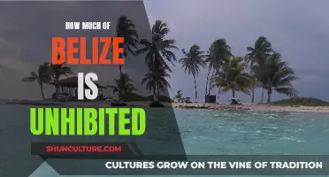 The Vast Unexplored: How Much of Belize Remains Untouched?