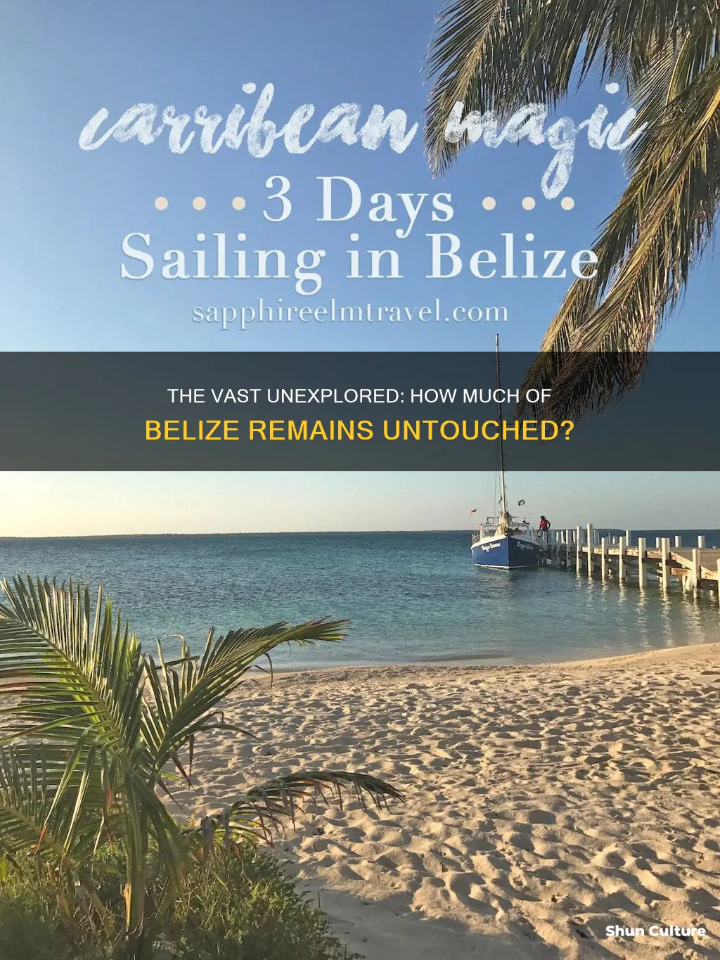 how much of belize is unhibited