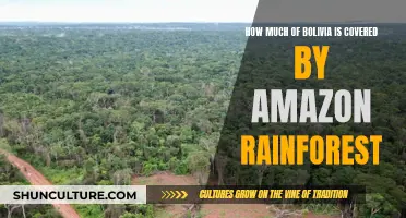 The Amazon's Bolivian Stronghold: How Much Rainforest Remains?