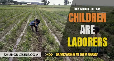 Child Labor in Bolivia: A National Crisis