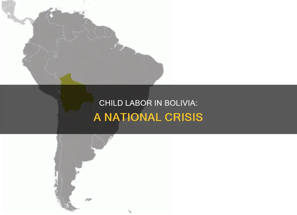 how much of bolivian children are laborers