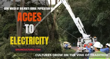 Electricity Access in Rural Bolivia: How Many Covered?