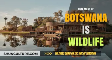 Botswana's Wildlife Haven: Exploring the Country's Natural Treasures