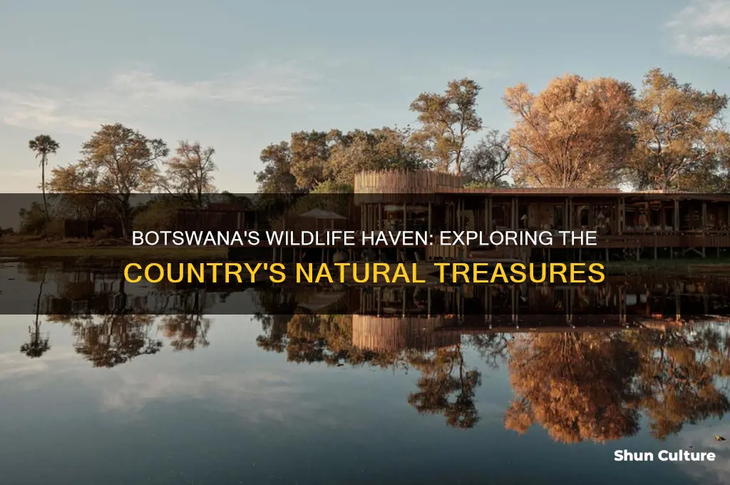 how much of botswana is wildlife