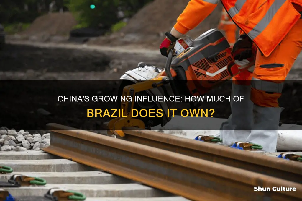 how much of brazil does china own