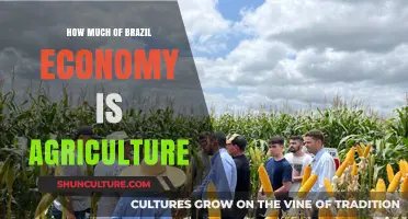 Brazil's Agriculture Sector: Its Vital Role in the National Economy