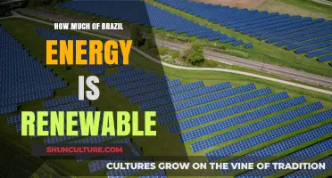 Brazil's Renewable Energy Dominance: Unveiling the Country's Sustainable Power Mix