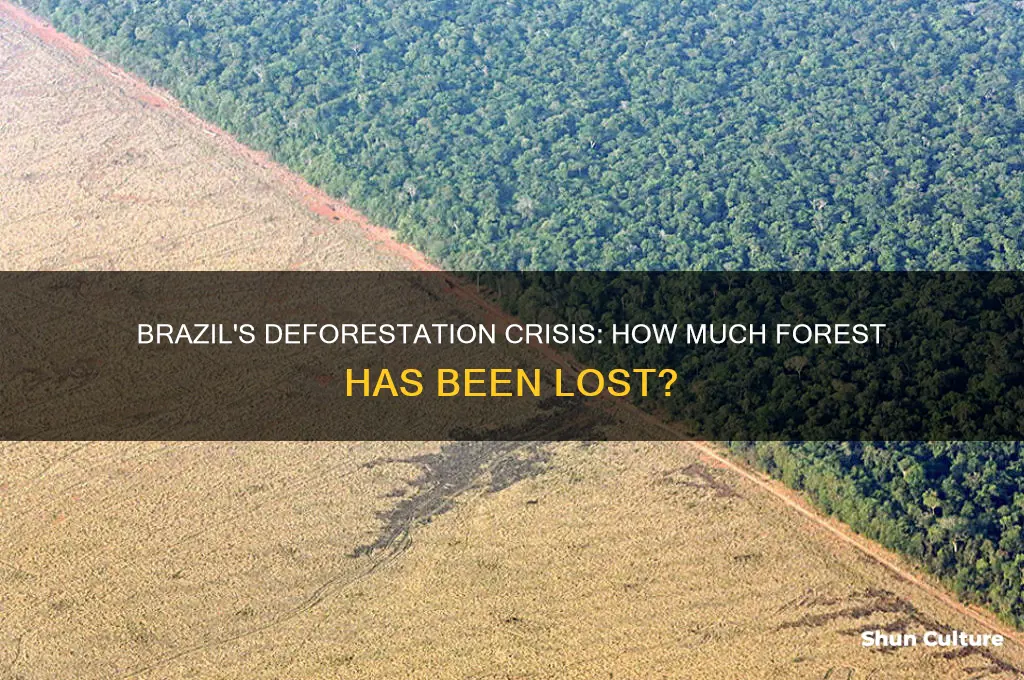 how much of brazil has been deforested