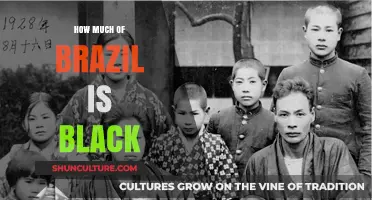 Exploring Brazil's African Heritage: Understanding the Black Population's Presence