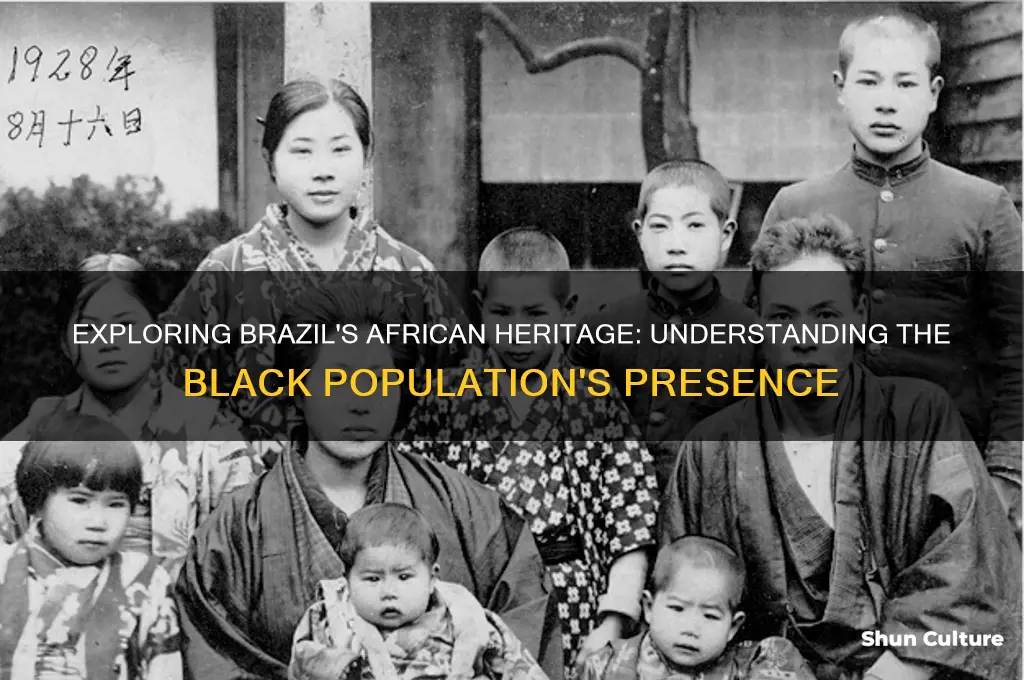 how much of brazil is black