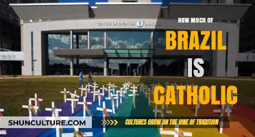 Brazil's Catholic Population: Exploring the Country's Religious Landscape