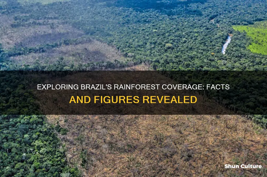 how much of brazil is covered by rainforest