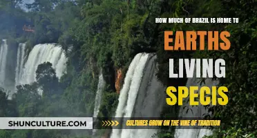Brazil's Biodiversity: A Haven for Earth's Living Species