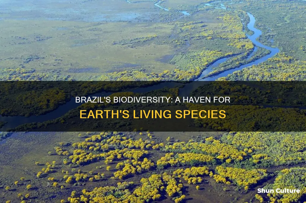 how much of brazil is home to earths living specis