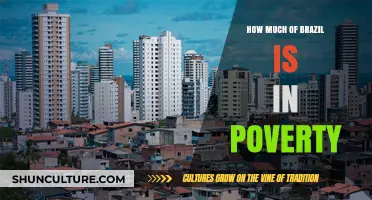 Brazil's Poverty Crisis: Understanding the Scope and Impact