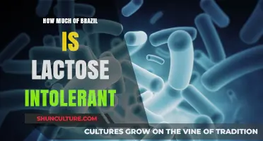 Brazil's Lactose Intolerance: Prevalence, Impact, and Dietary Adaptations Explored