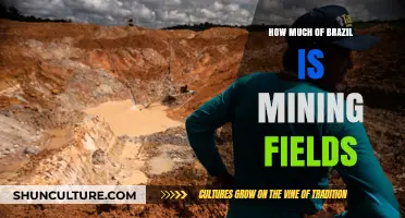 Exploring Brazil's Mining Fields: Scale, Impact, and Environmental Concerns