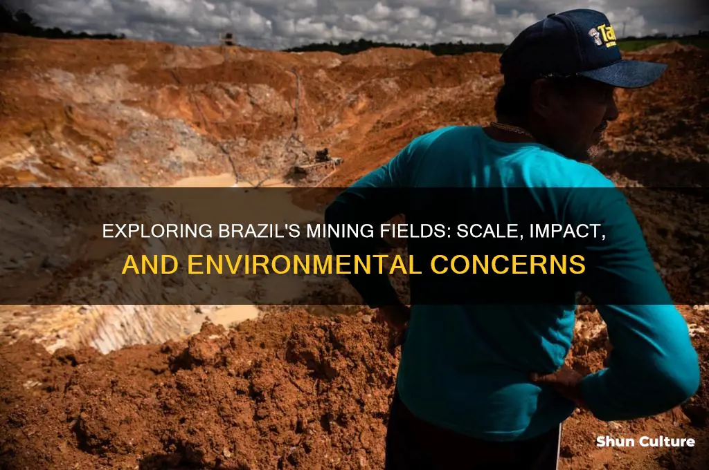 how much of brazil is mining fields