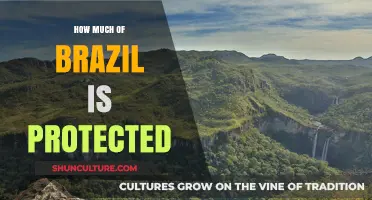 Brazil's Conservation Efforts: How Much Land is Protected?