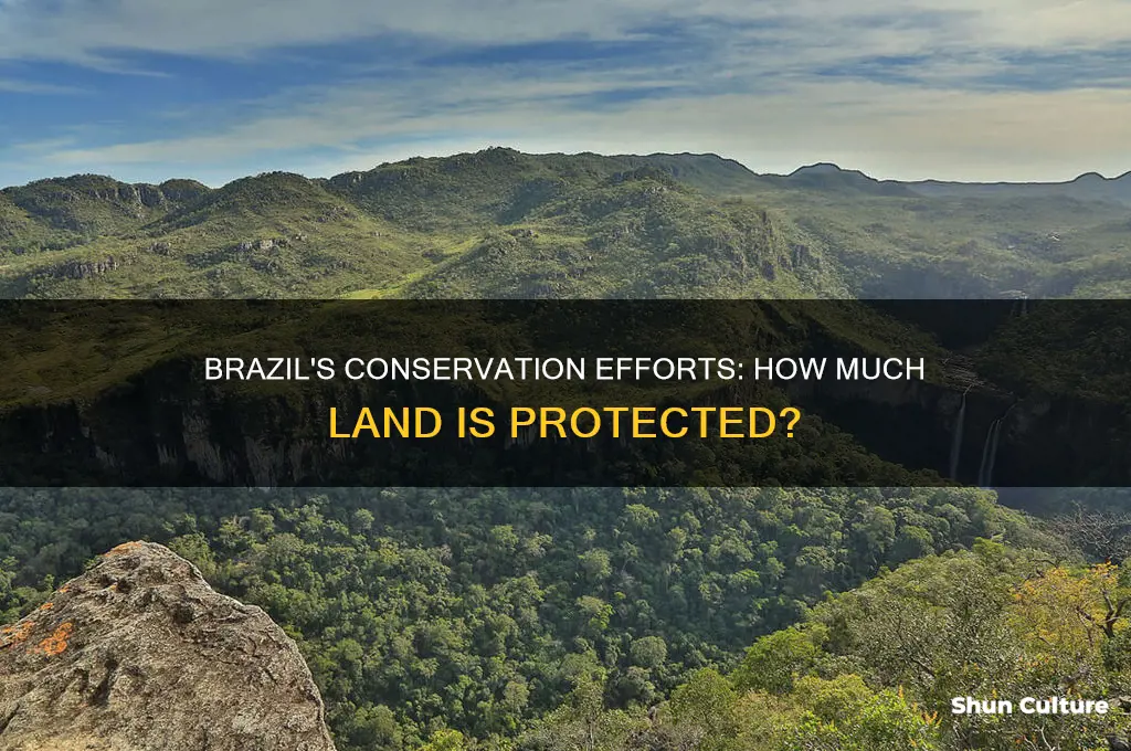 how much of brazil is protected