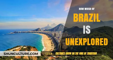 Uncharted Brazil: How Much of Its Wilderness Remains Unexplored?