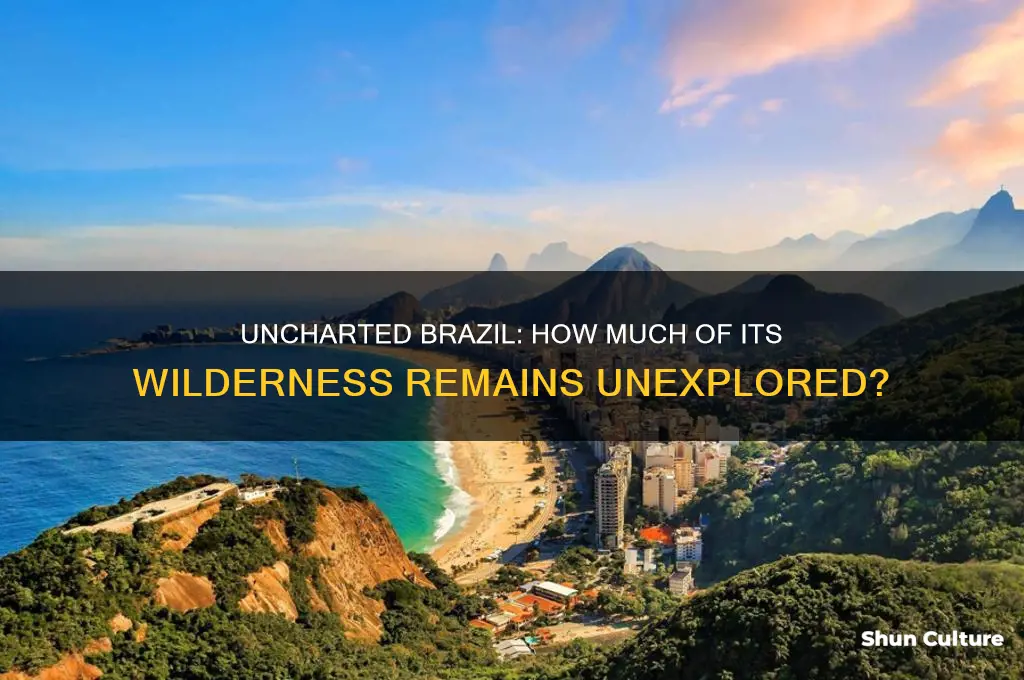 how much of brazil is unexplored