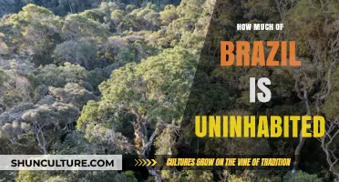 Exploring Brazil's Untouched Wilderness: How Much Remains Uninhabited?