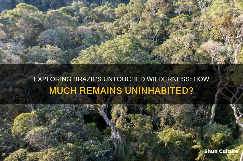 how much of brazil is uninhabited